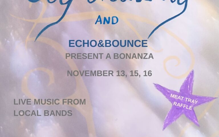 Joy & whimsy at Echo and Bounce